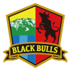 Takayama Blackbulls (Women)