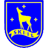 Ski IL