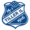 Tiller