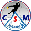 CSM Fagaras