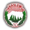 Haslum IL