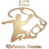 Elbflorenz