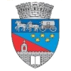 CNE Ramnicu Valcea (Women)