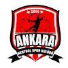 Ankara Hentbol