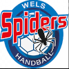 Wels Spiders
