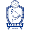 Oviedo BM (Women)