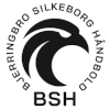 Bjerringbro
