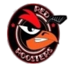 Charleroi Red Roosters