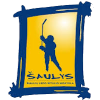 Siauliu Saulys