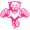 Pink Panthers