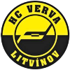 Litvinov U20