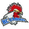 Tabor U20