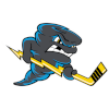 Quad City Storm