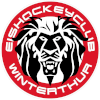 Winterthur