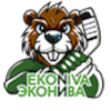 Bobrov Voronezh