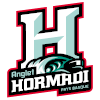 Anglet Hormadi