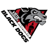 Black Dogs Budweis