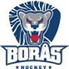 Boras