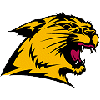 Northern Michigan Wildcats