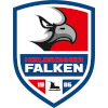 Heilbronner Falken
