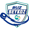 Buz Beykoz