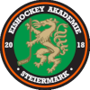 Akademie Steiermark U20