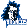 Wipptal Broncos