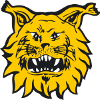 Ilves U20