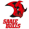 Saale Bulls Halle