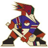 Tucson Roadrunners