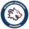 Budapest Jegkorong Akademia U21
