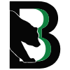 Binghamton Black Bears