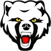 Chelyabinsk Bears (Amateur)