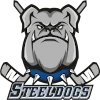 Sheffield Steeldogs