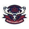 Newfoundland Regiment