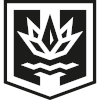Neftekhimik Novopolotsk