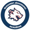 Budapest Jegkorong Akademia U20