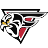 HS Falcons