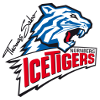 Nurnberg Ice Tigers