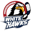 Frederikshavn White Hawks