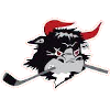 Rodovre Mighty Bulls
