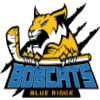 Blue Ridge Bobcats