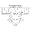 HDK Maribor