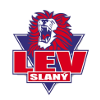 Lev Slany