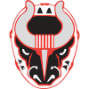 Birmingham Bulls