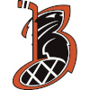 Beavers