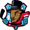 Bloomington Bison