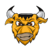 Bisons Minsk