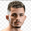 Apollo Gomes