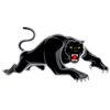 Penrith Panthers (Women)